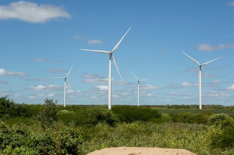 Echoenergia aposta em inteligência artificial para elevar eficiência e prolongar vida útil de ativos